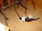DSC09008.jpg