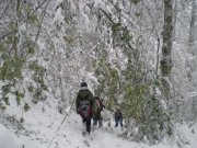 DSCN3096.jpg