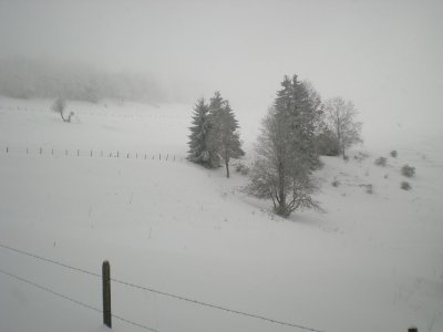 DSCN3090.jpg