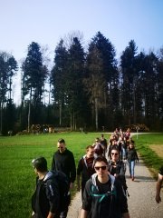 IMG_20220415_095051 (Copy).jpg