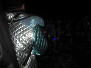 IMG_0930.jpg