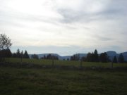 DSC02733.jpg