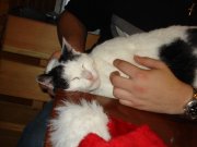 DSC09003.jpg