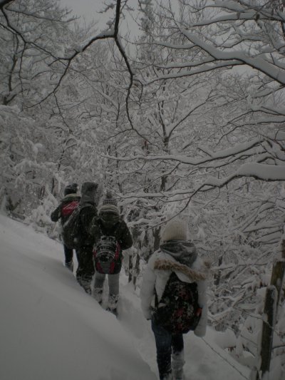 DSCN3081.jpg