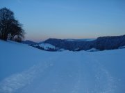 DSC09019.jpg