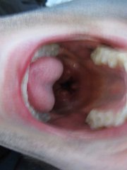 IMG_0864.jpg