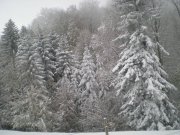 DSCN3091.jpg