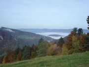 DSC02743.jpg