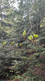 PXL_20250418_140818585.MP.jpeg