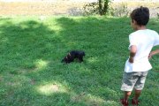 IMG_2753.JPG