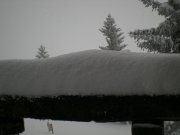DSCN3065.jpg