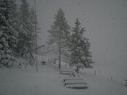 DSCN3067.jpg