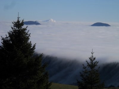 DSCN4219.jpg