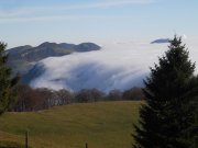 DSCN4215.jpg