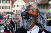 DSC_0762.jpg