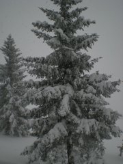 DSCN3064.jpg