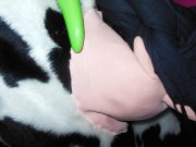 DSCN3765.jpg