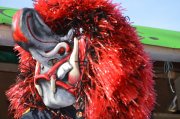 DSC_0799.jpg