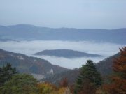 DSC02744.jpg