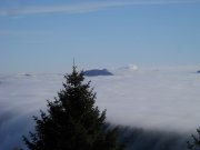 DSCN4221.jpg