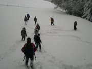 DSCN3101.jpg