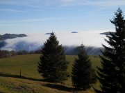 DSCN4216.jpg