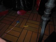 DSCN3987.jpg