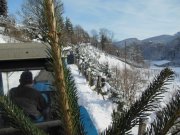 DSCN0682.jpg