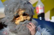 DSC_0807.jpg