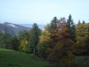 DSC02742.jpg