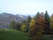 DSC02740.jpg