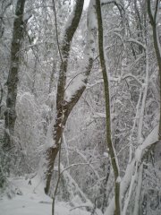 DSCN3095.jpg