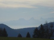 DSC02734.jpg