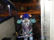 DSCN0438.jpg