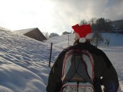 DSC08954.jpg