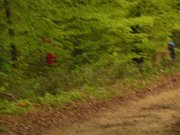 DSCN3084.jpg