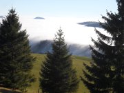 DSCN4211.jpg