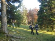 DSC02666.jpg