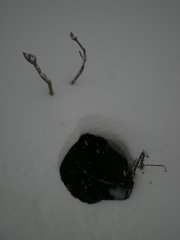 DSCN3082.jpg