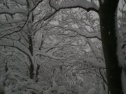 DSCN3080.jpg