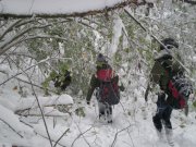 DSCN3098.jpg