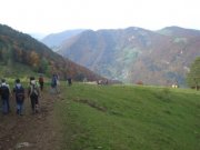 DSC02741.jpg