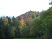 DSC02747.jpg