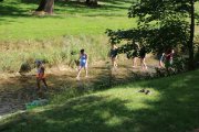 IMG_2773.JPG