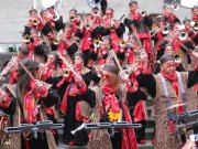 IMG_2768.jpg