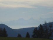 DSC02734.jpg