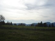 DSC02733.jpg